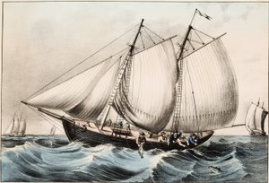 Kabeljauw vissen bij Newfoundland, uitgegeven 1872 door American School